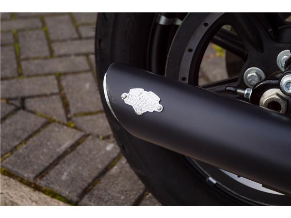 2019 Harley-Davidson Iron 883