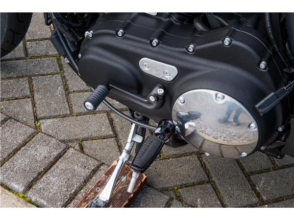2019 Harley-Davidson Iron 883