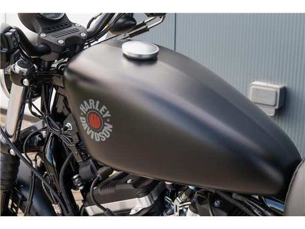 2019 Harley-Davidson Iron 883