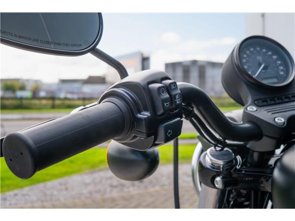 2019 Harley-Davidson Iron 883