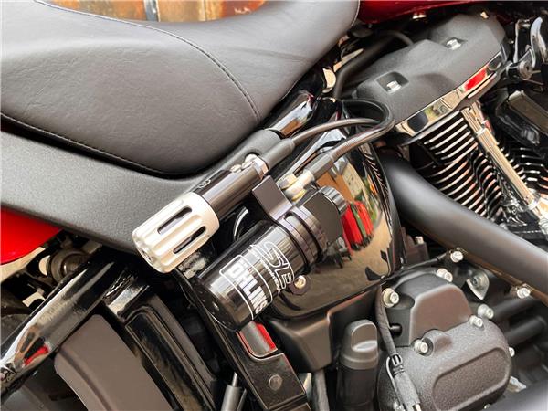 2025 Harley-Davidson Softail