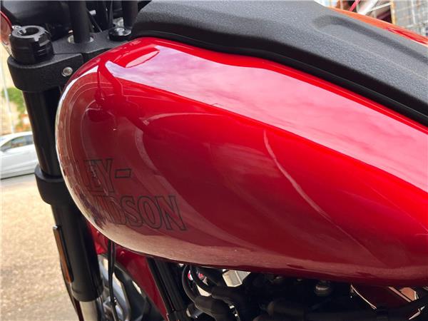 2025 Harley-Davidson Softail