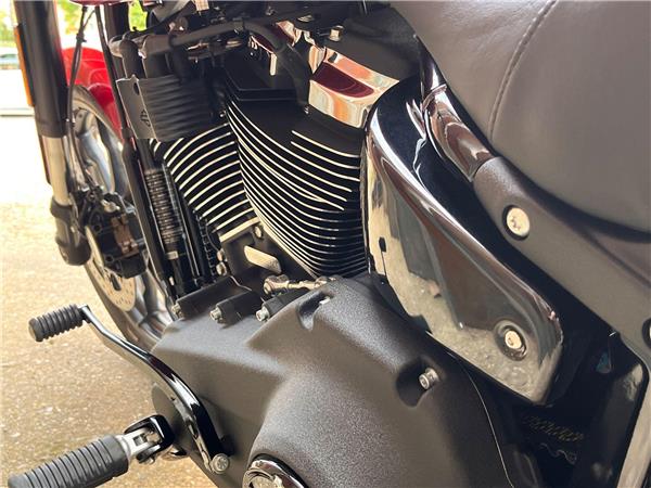 2025 Harley-Davidson Softail