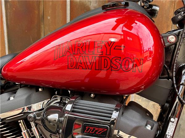 2025 Harley-Davidson Softail
