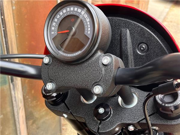 2025 Harley-Davidson Softail