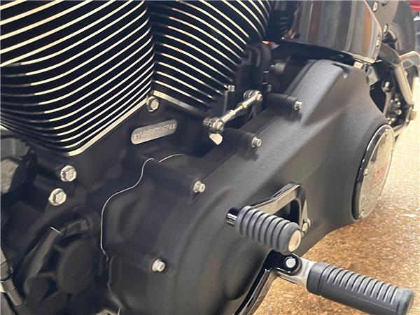 2025 Harley-Davidson Softail