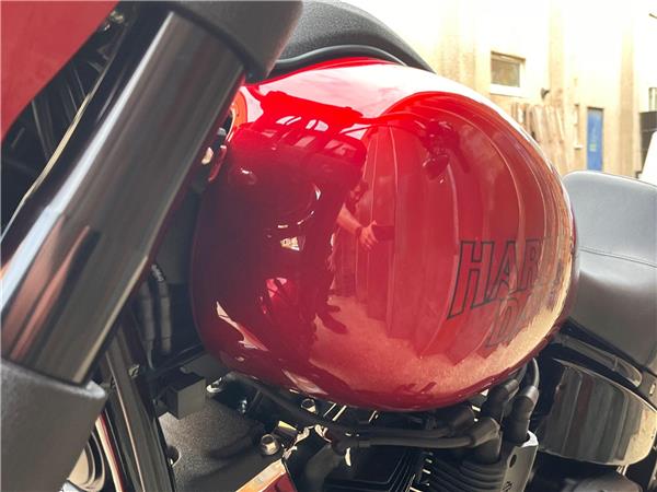 2025 Harley-Davidson Softail