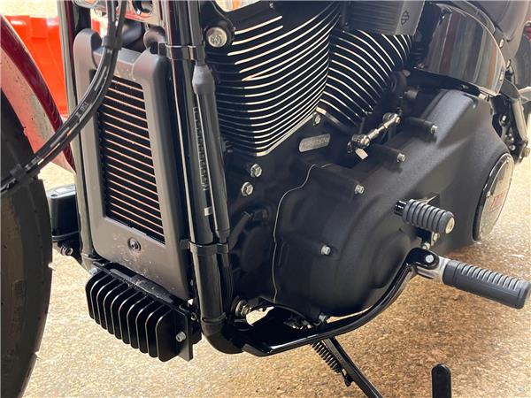 2025 Harley-Davidson Softail