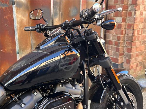 2019 Harley-Davidson Softail
