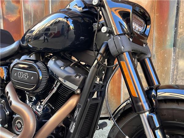 2019 Harley-Davidson Softail