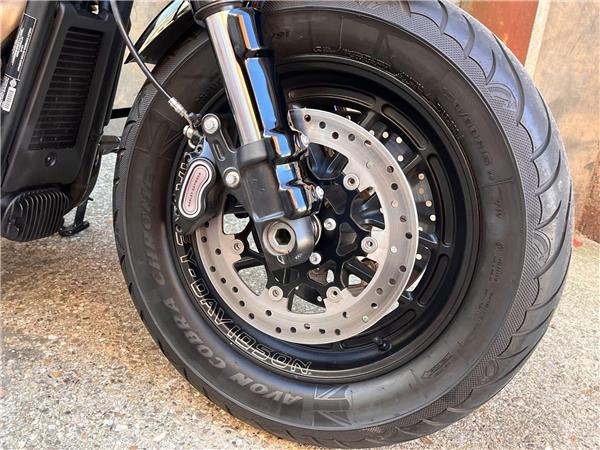 2019 Harley-Davidson Softail