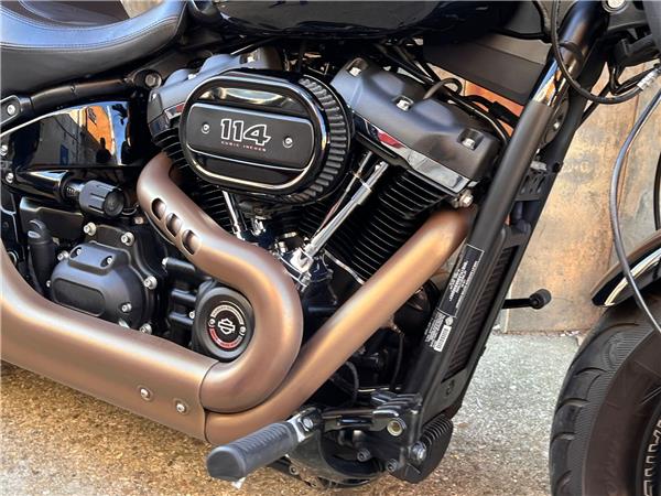 2019 Harley-Davidson Softail