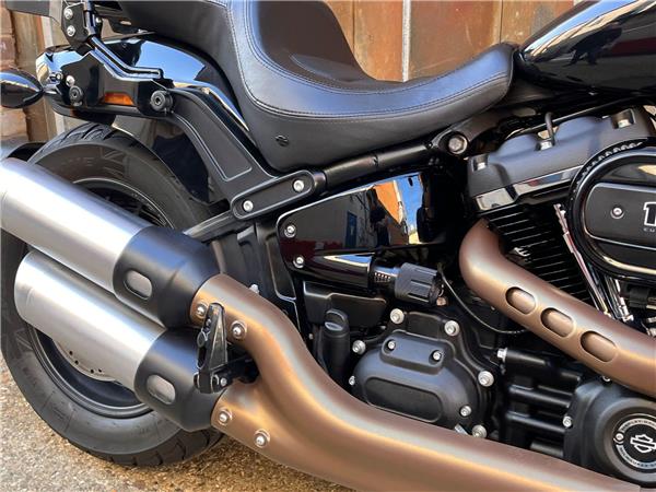 2019 Harley-Davidson Softail