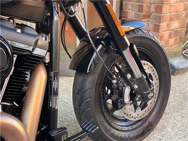 2019 Harley-Davidson Softail