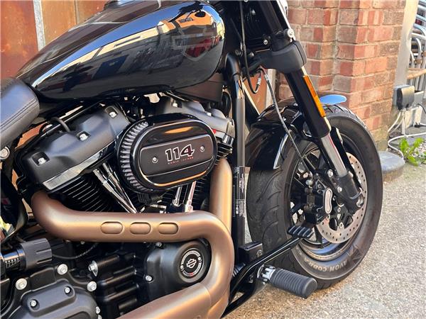 2019 Harley-Davidson Softail