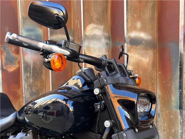 2019 Harley-Davidson Softail