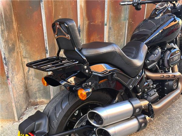 2019 Harley-Davidson Softail
