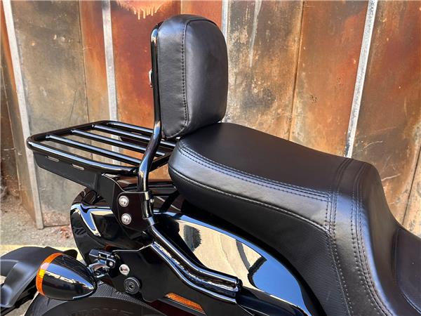 2019 Harley-Davidson Softail