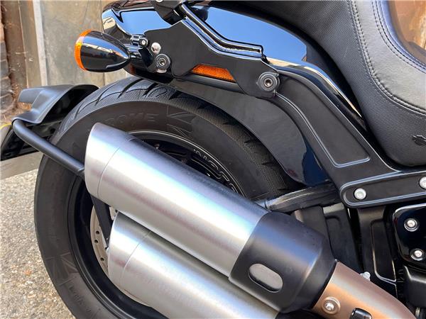 2019 Harley-Davidson Softail