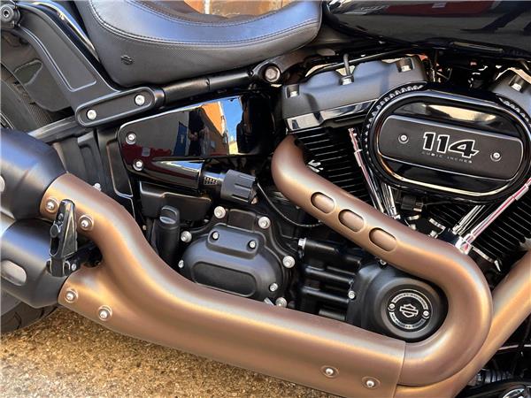 2019 Harley-Davidson Softail