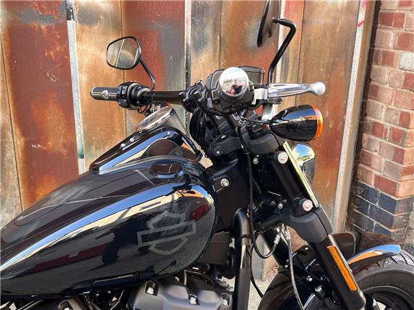 2019 Harley-Davidson Softail