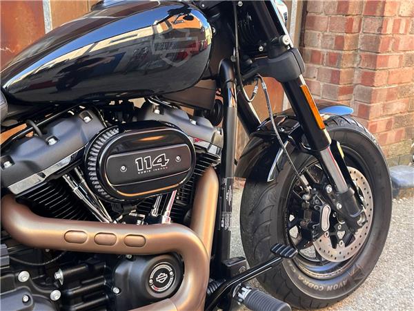 2019 Harley-Davidson Softail