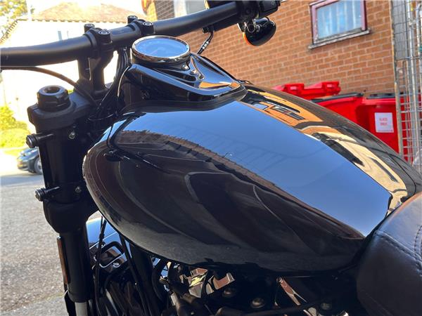 2019 Harley-Davidson Softail