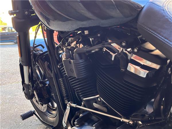2019 Harley-Davidson Softail