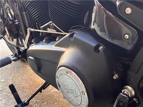 2019 Harley-Davidson Softail