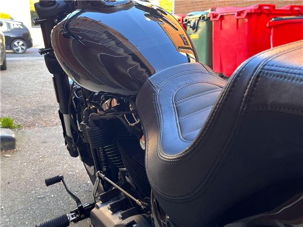 2019 Harley-Davidson Softail