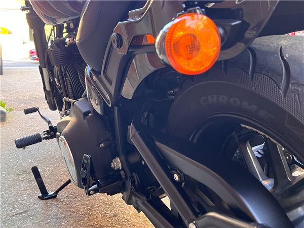 2019 Harley-Davidson Softail