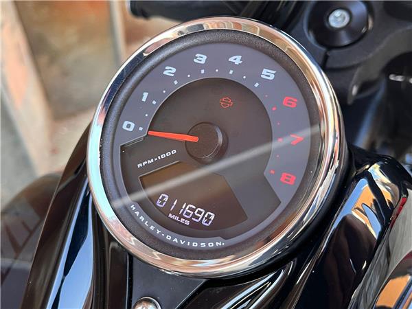 2019 Harley-Davidson Softail