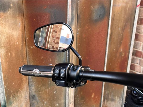 2019 Harley-Davidson Softail