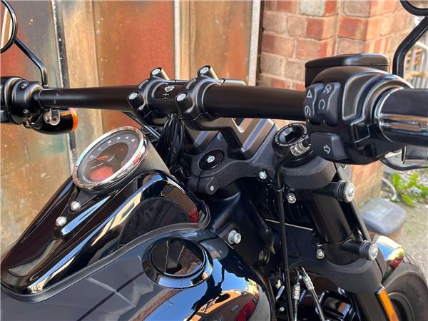 2019 Harley-Davidson Softail