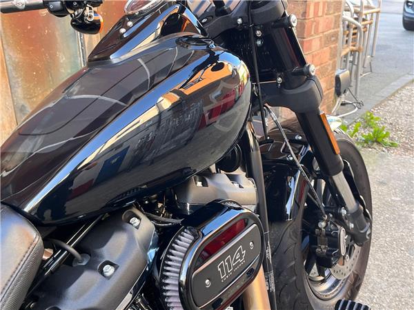 2019 Harley-Davidson Softail