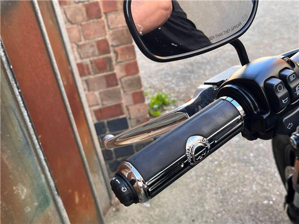 2019 Harley-Davidson Softail
