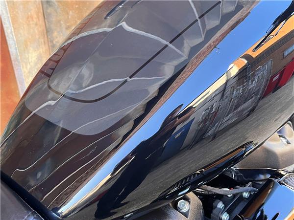 2019 Harley-Davidson Softail