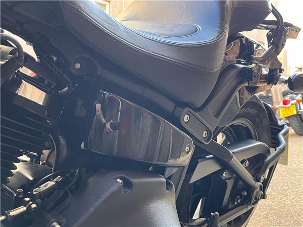 2019 Harley-Davidson Softail