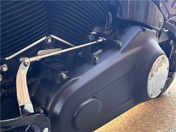 2019 Harley-Davidson Softail