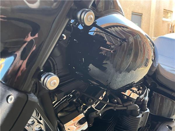 2019 Harley-Davidson Softail