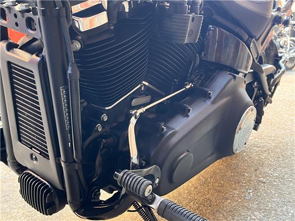 2019 Harley-Davidson Softail
