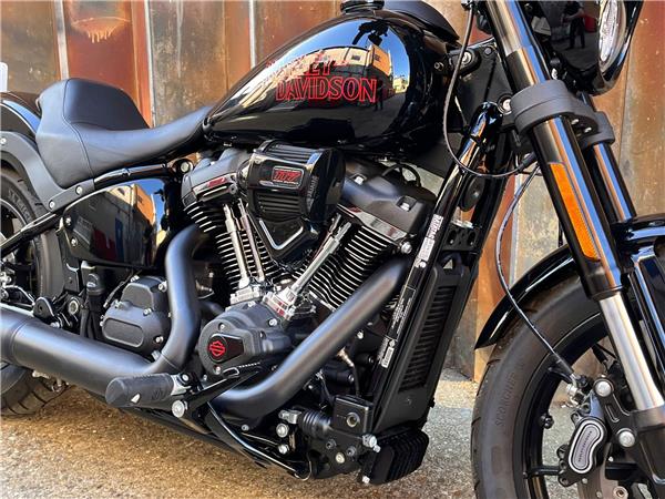 2025 Harley-Davidson Softail