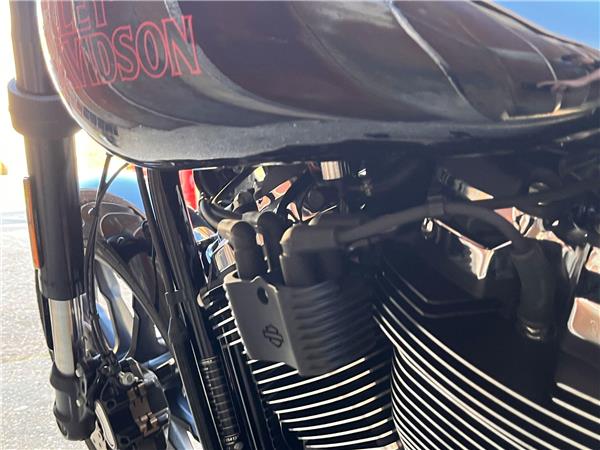 2025 Harley-Davidson Softail
