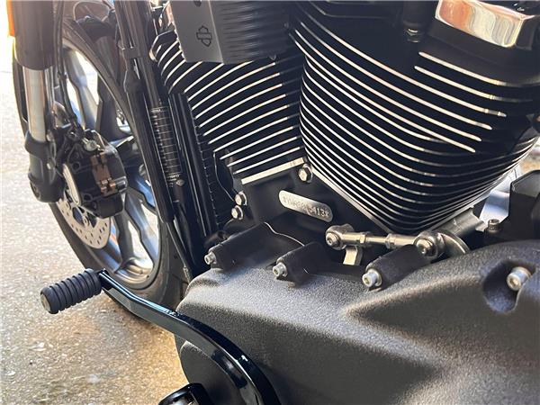 2025 Harley-Davidson Softail