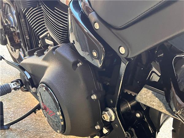 2025 Harley-Davidson Softail