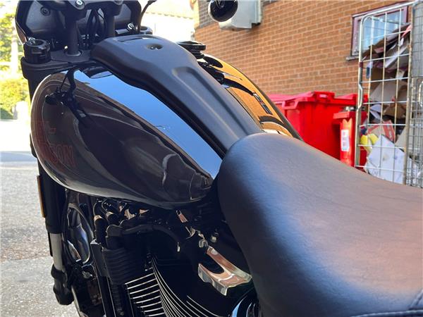 2025 Harley-Davidson Softail