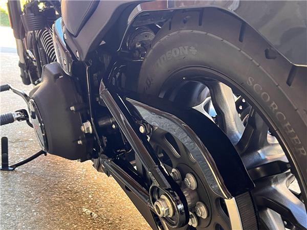 2025 Harley-Davidson Softail