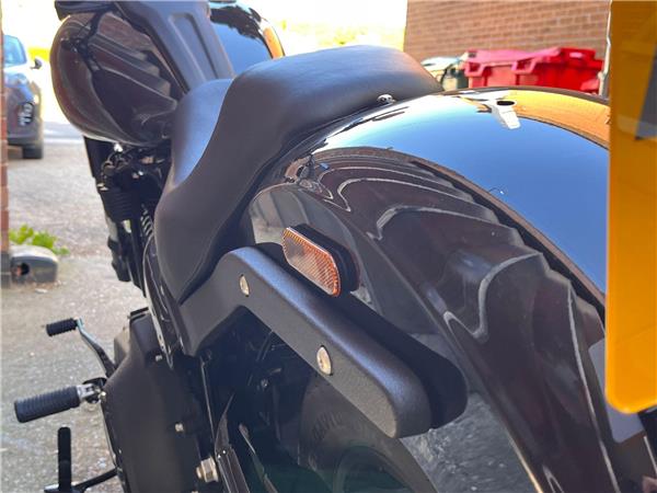 2025 Harley-Davidson Softail