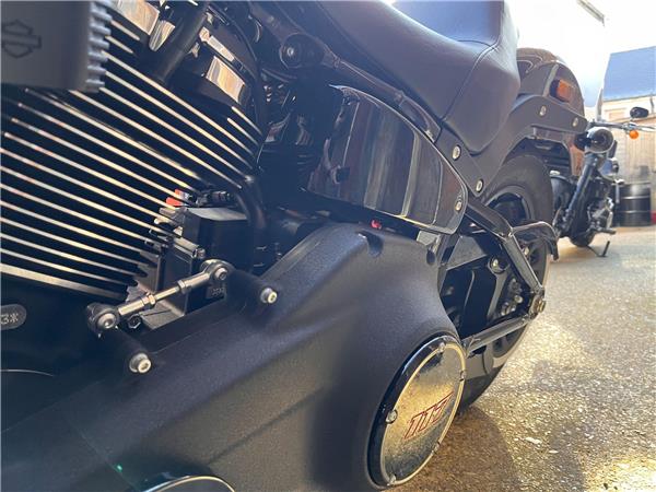 2025 Harley-Davidson Softail