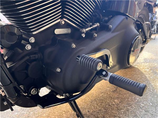 2025 Harley-Davidson Softail